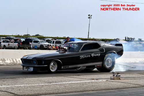 Ray Stringer - 'Nitro Pony'